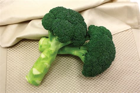 Green Magic Broccoli: A Versatile Ingredient for Smoothies and Juices